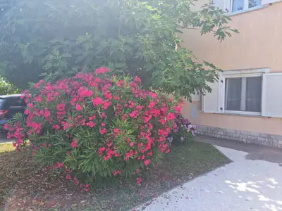 Ferienwohnung für 6 Personen (80 m²) in Medulin 4/10