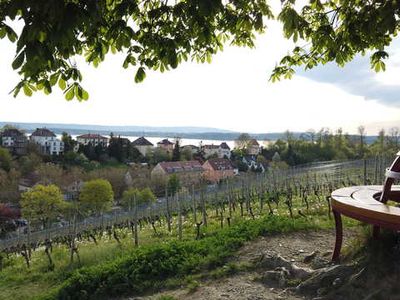 Ferienwohnung für 3 Personen (55 m²) in Meersburg 5/10