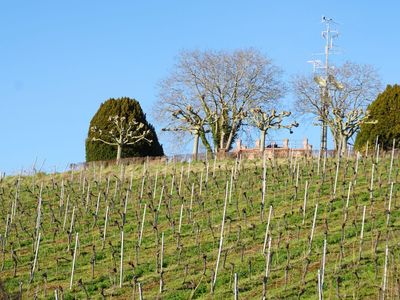 Die Friedrichshöhe hinter dem Haus