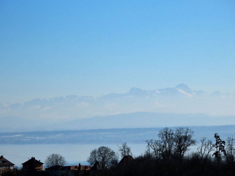 23884000-Ferienwohnung-4-Meersburg-800x600-0