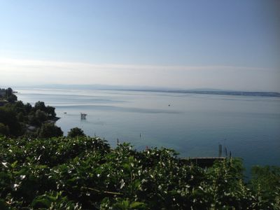 Blick auf den Bodensee