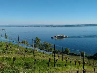 Fähre Meersburg-Konstanz