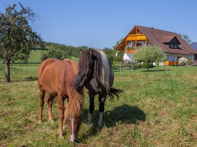 Ferienwohnung für 2 Personen (38 m²) in Meersburg 3/10