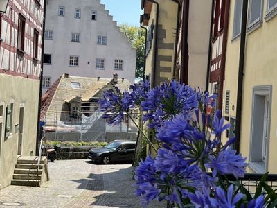 Winzergasse rechts unser Häuschen