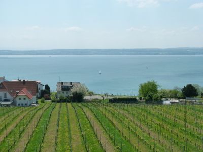 Der Bodensee