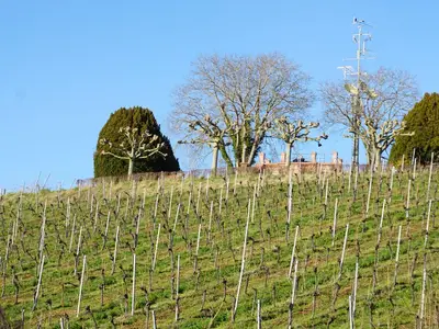 Landschaft
