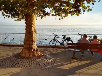 Ferienwohnung für 5 Personen (85 m²) in Meersburg 10/10