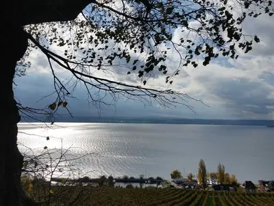 Ferienwohnung für 2 Personen (54 m²) in Meersburg 4/10