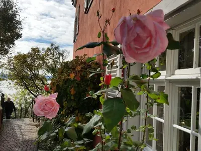 Ferienwohnung für 2 Personen (54 m²) in Meersburg 8/10
