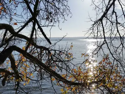 Ferienwohnung für 2 Personen (54 m²) in Meersburg 10/10