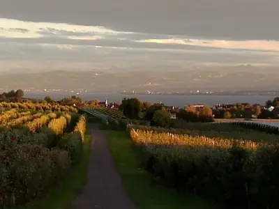 Ferienwohnung für 2 Personen (31 m²) in Meersburg 8/10