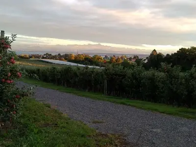 Ferienwohnung für 2 Personen (31 m²) in Meersburg 9/10