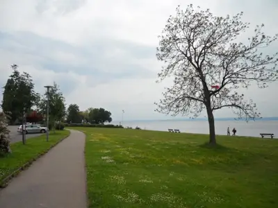 Ferienwohnung für 6 Personen (74 m²) in Meersburg 9/10