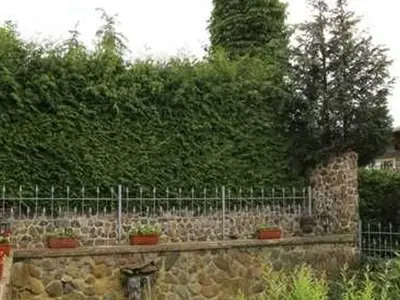 Ferienwohnung für 5 Personen (63 m²) in Meesiger 9/10