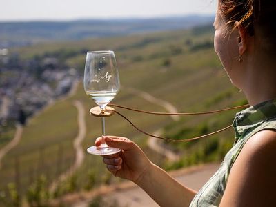 Wein und Landschaft genießen