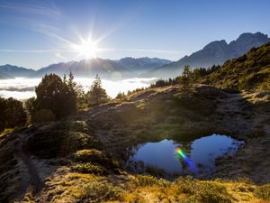 23854786-Ferienwohnung-4-Meiringen-300x225-4