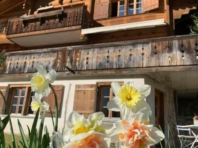 Chalet Underem Gfell 28, Ferienwohnung im EG.