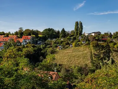 Ferienwohnung für 3 Personen (32 m²) in Meißen 9/10