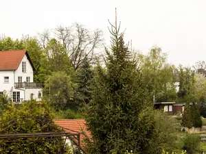 Ferienwohnung für 5 Personen (50 m²) in Meißen