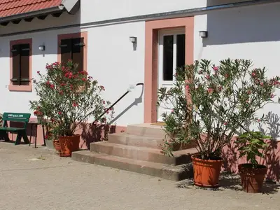 Ferienwohnung für 6 Personen (70 m²) in Meißenheim 7/10