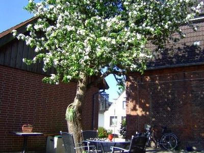 Gemeinschaftsterrasse für die  Ferienwohnungen