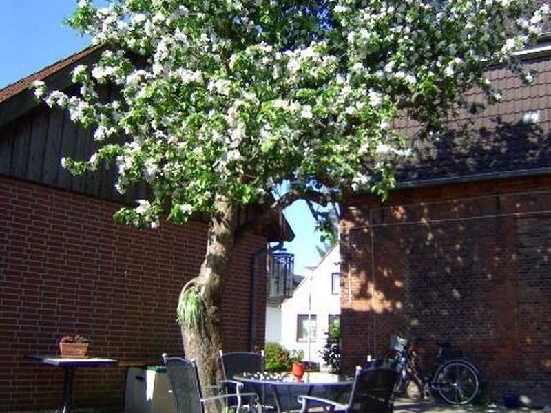 18194615-Ferienwohnung-2-Meldorf-800x600-0