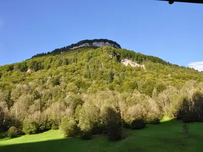 Ferienwohnung für 3 Personen (45 m²) in Mellau 9/10