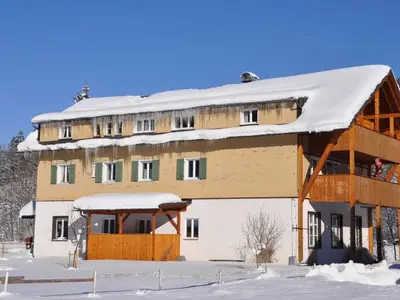 Ferienwohnung für 3 Personen (45 m²) in Mellau 4/10