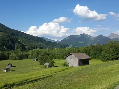Ferienwohnung für 5 Personen (60 m²) in Mellau 9/10