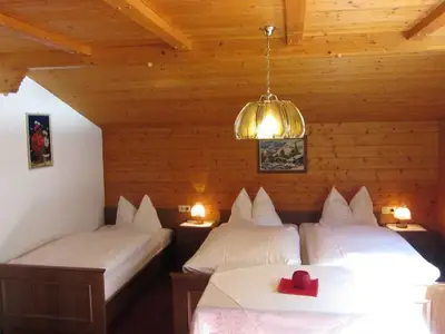 Ferienwohnung für 5 Personen (60 m²) in Mellau 7/10