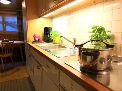 Ferienwohnung für 4 Personen (55 m²) in Mellau 10/10