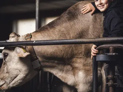 Ferienwohnung für 4 Personen (57 m²) in Mellau 10/10