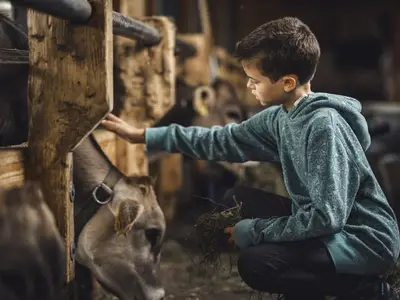 Ferienwohnung für 4 Personen (57 m²) in Mellau 7/10