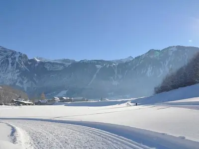 Ferienwohnung für 3 Personen (45 m²) in Mellau 2/10
