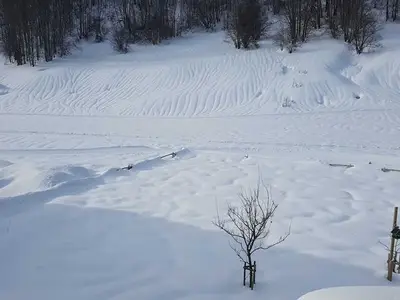 Ferienwohnung für 3 Personen (45 m²) in Mellau 5/10