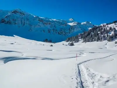 Ferienwohnung für 3 Personen (45 m²) in Mellau 6/10