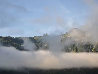 Ferienwohnung für 3 Personen (45 m²) in Mellau 8/10