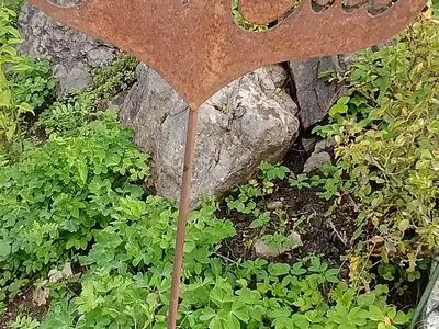 Ferienwohnung für 5 Personen (68 m²) in Mellau 3/10