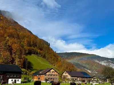 Ferienwohnung für 6 Personen (100 m²) in Mellau 5/10