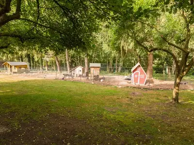 Ferienwohnung für 5 Personen (70 m²) in Mellenthin 9/10