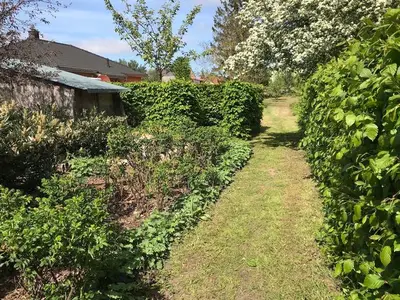 Ferienwohnung für 5 Personen (70 m²) in Mellenthin 3/10