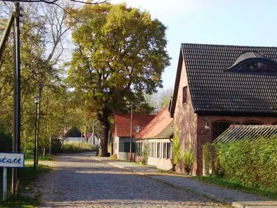 Ferienwohnung für 4 Personen (48 m²) in Mellenthin 7/10