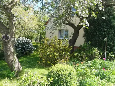 Ferienwohnung für 4 Personen (37 m²) in Mellenthin 3/10