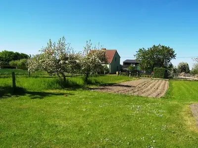Ferienwohnung für 4 Personen (37 m²) in Mellenthin 6/10