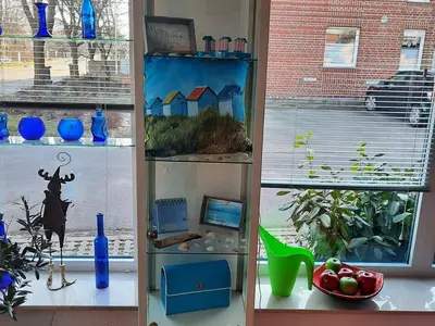 Bild 7