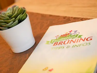 Ferienwohnung für 2 Personen (42 m²) in Meppen 5/10