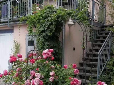 Ferienwohnung für 3 Personen in Merkendorf 4/10