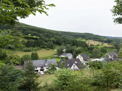 ViewSummer