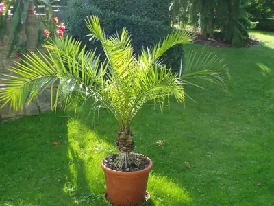Gartenansicht
