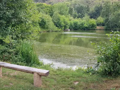 Winchendeller Weiher Merxheim
